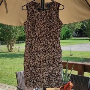 Dress size  6 petite